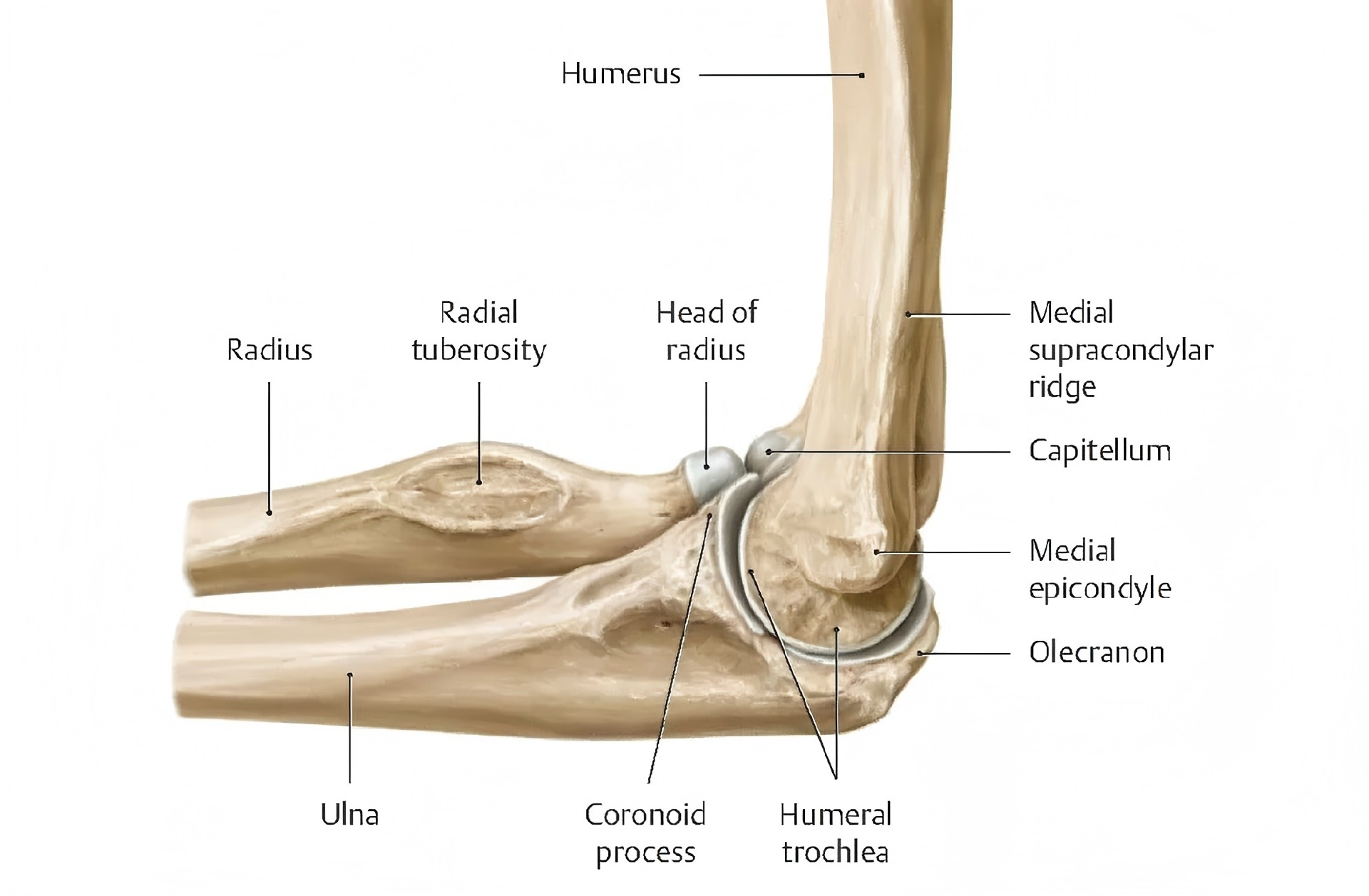640(1).png